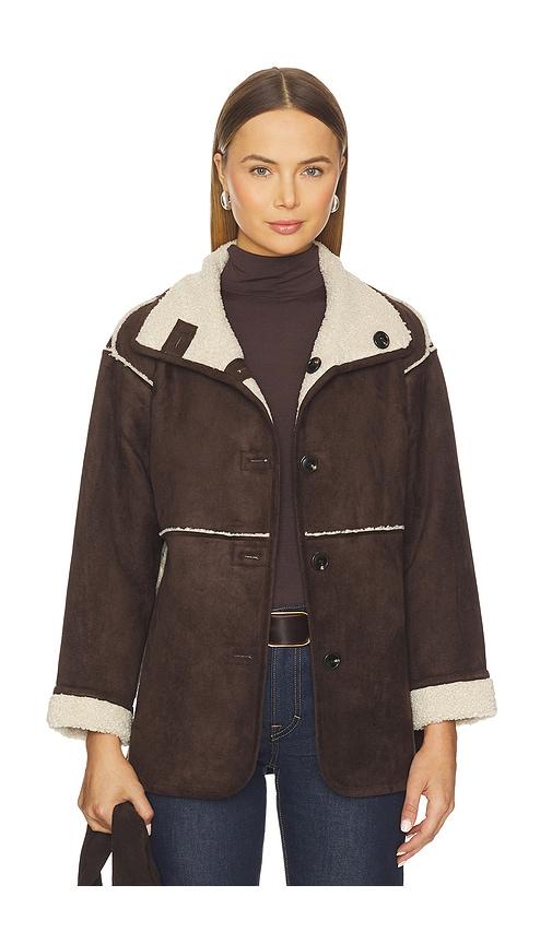 velvet by graham & spencer shona jacket in brown. - size l (also in m)