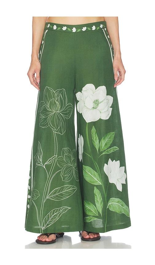 verandah magnolia flared pants in green. - size l (also in xs, s, m)