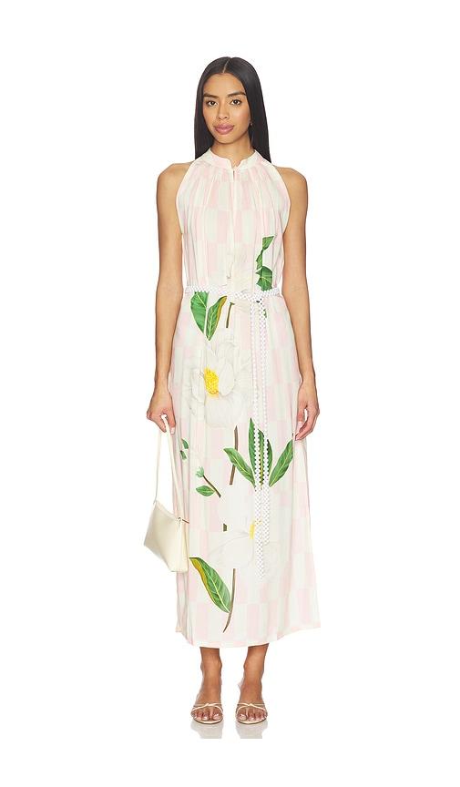 verandah sundowner maxi dress in blush,ivory. - size m (also in s, xs)