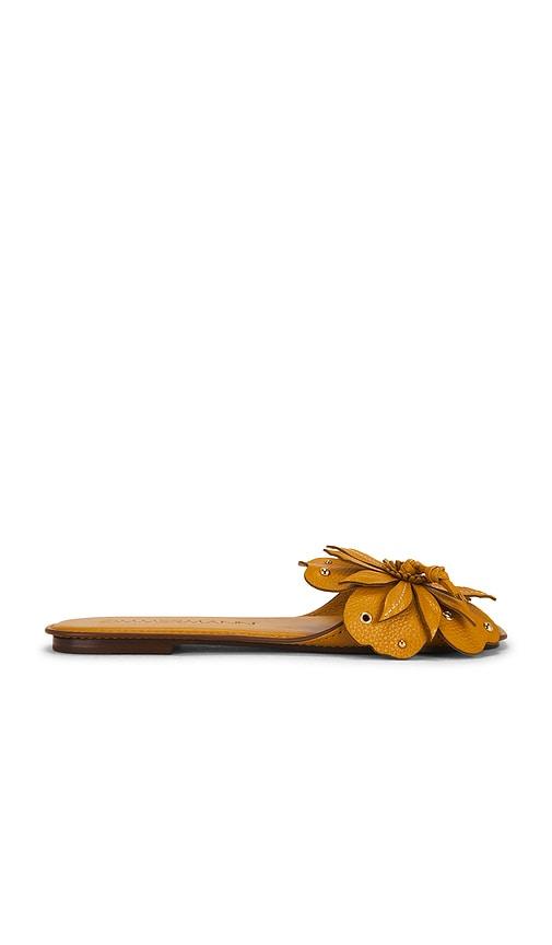 zimmermann brightside slide in tan. - size 36 (also in 37, 38, 39, 40)